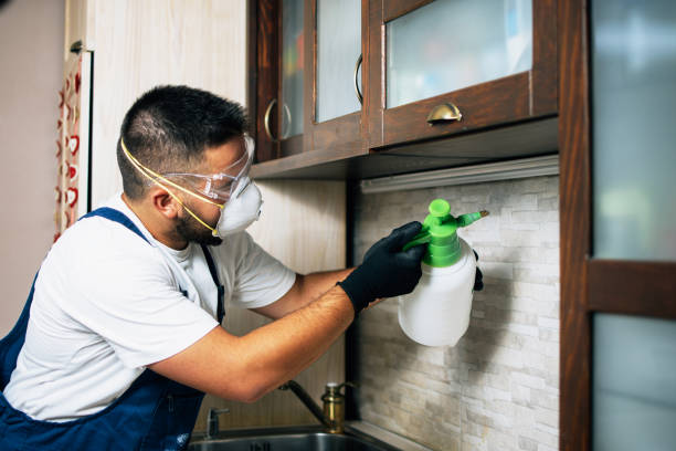 Best Termite Control Services  in Bren Arrow, OK