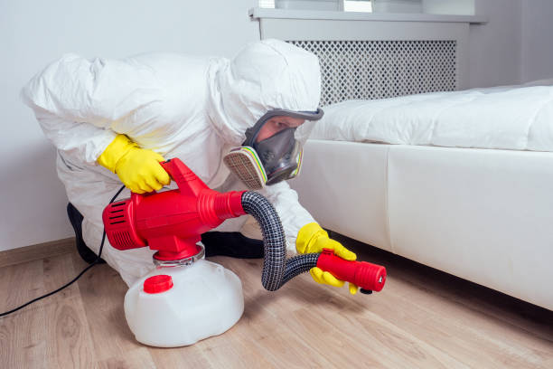 Best Ant Control Services  in Bren Arrow, OK