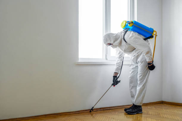 Best Cockroach Control Services  in Bren Arrow, OK