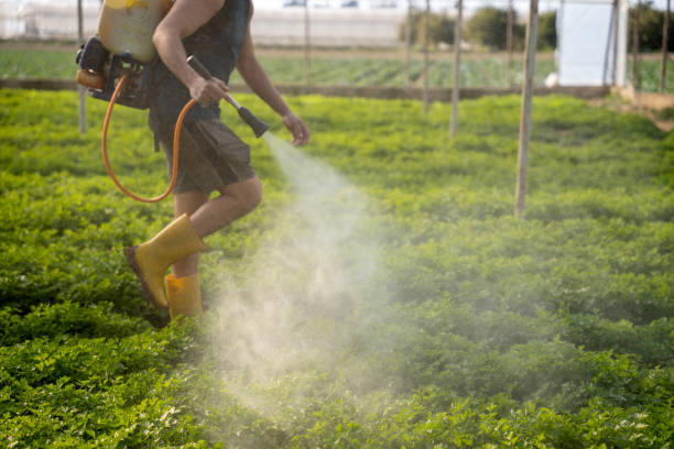 Professional Pest Control in Broken Arrow, OK