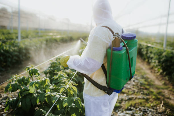 Best Commercial Pest Control Services  in Bren Arrow, OK